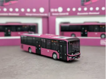 MAN Lions Intercity LE