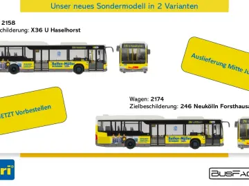 MB Citaro LE